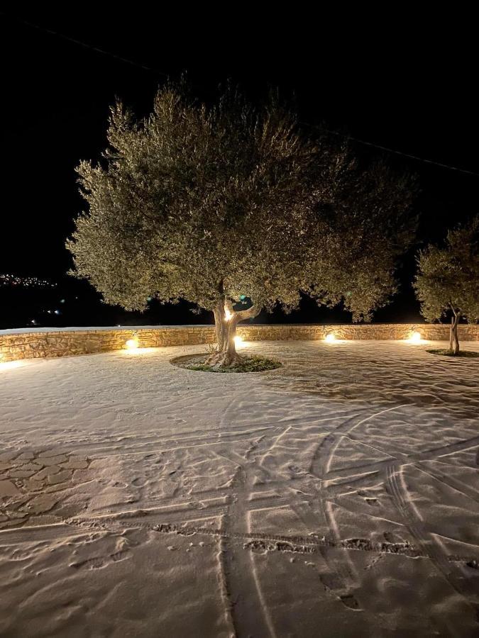 Αρχοντικό Γκιντώνη Daire Levídhion Dış mekan fotoğraf