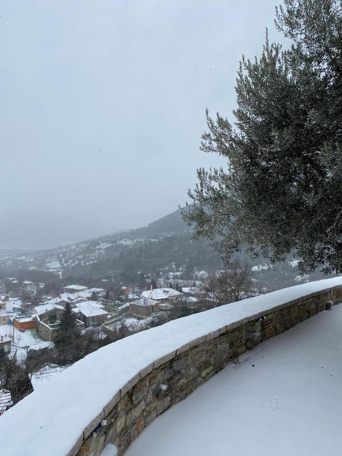Αρχοντικό Γκιντώνη Daire Levídhion Dış mekan fotoğraf